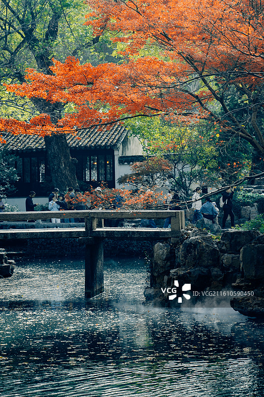 苏州园林 拙政园 艺术 课文 美学 东方 秋天 橘红 绿色 黄色 枫叶 唯美 治愈 温暖 养老图片素材
