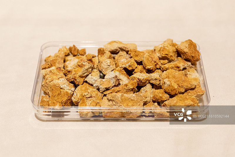 绍兴博物馆 网文红土 2017年嵊州兰山庙发掘现场采集图片素材