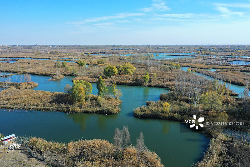 碧水连天映霞光，野鸭掠舞芦花黄  俯身临岸观舟远，银杏红叶风里扬  千岛万湖织洋淀，生态画卷韵悠长图片素材