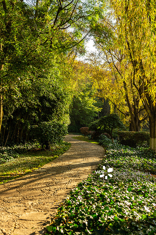 云南玉溪红塔山森林公园图片素材