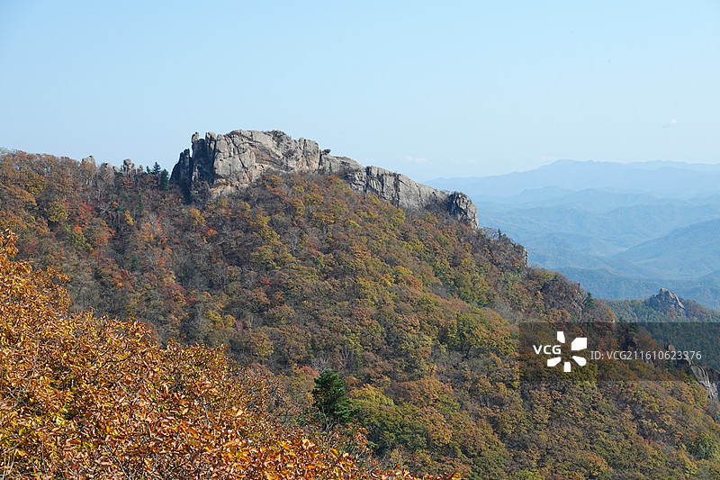 辽宁省丹东市宽甸县天桥沟景区：天上山红叶红枫叶彩林五花山秋景图片素材