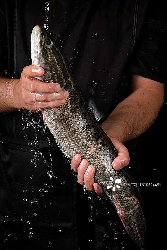 手抱鱼图片素材