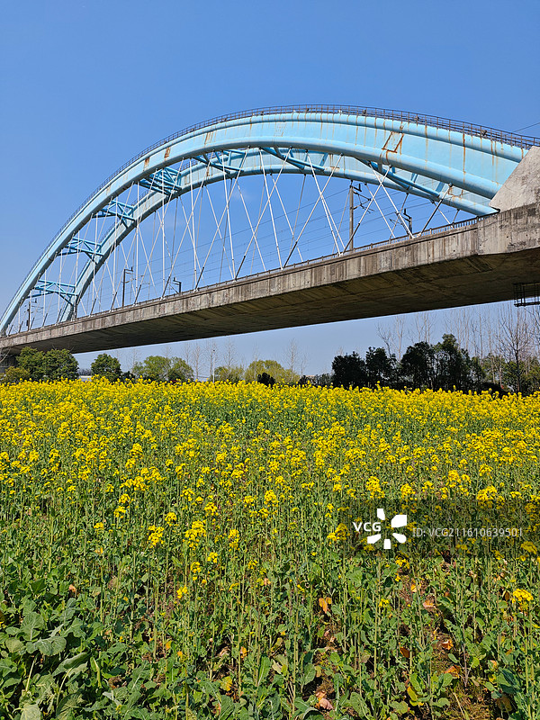 中国浙江杭州临平崇贤城市风光图片素材