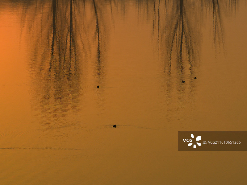 河南省郑州市荥阳市  索河湿地 万山湖 郑州郊野公园图片素材