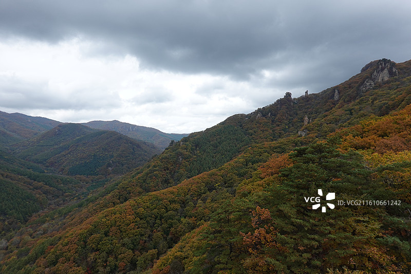 辽宁省丹东市宽甸县天桥沟景区：莲花峰顶远眺红叶彩林红枫枫叶五花山秋景图片素材