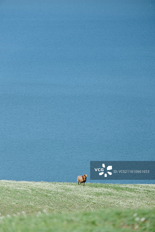 恰不其海水库图片素材