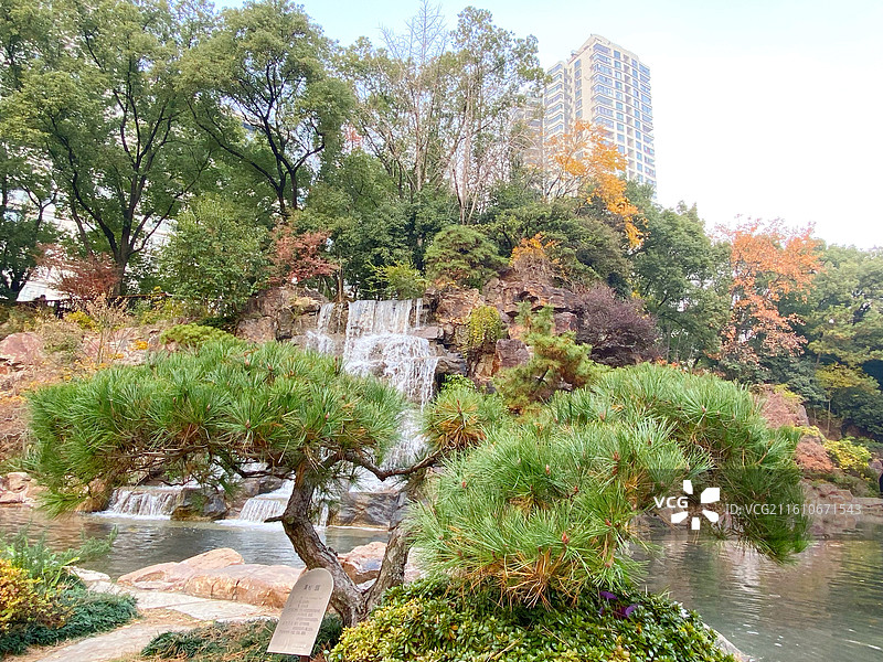 初冬的上海市内辅德里公园景色古典园林美图片素材