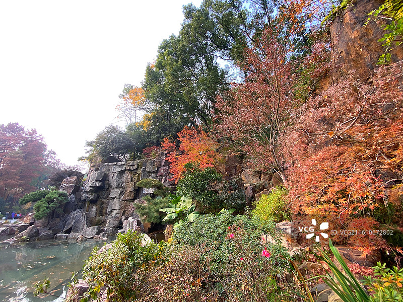 初冬的上海市内辅德里公园景色古典园林美图片素材