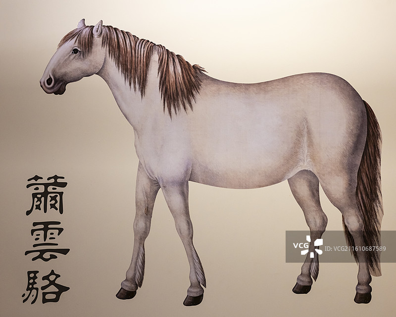 捷克艾启蒙八骏图 清乾隆 南京博物院图片素材