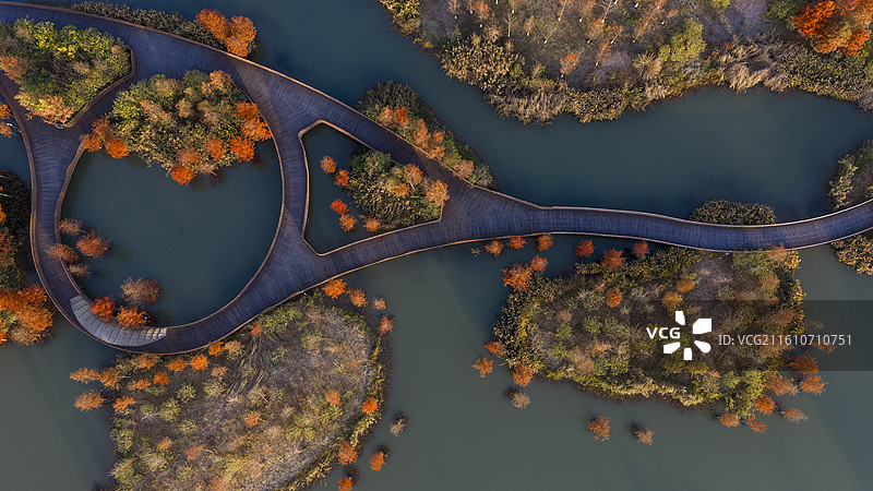 杭州铜鉴湖秋日水杉湖景图片素材