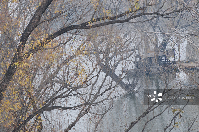冬天湖边风光。湖水秃树倒影水鸟野鸭。风景背景图壁纸图片素材