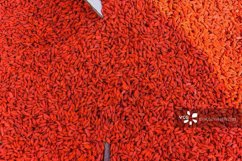 枸杞  山东省青岛市李村大集图片素材