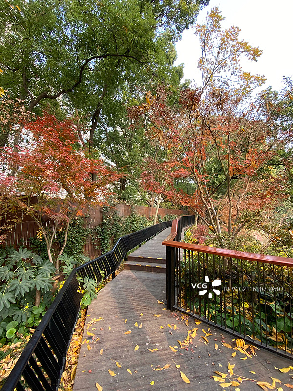 初冬的上海市内辅德里公园景色古典园林美图片素材