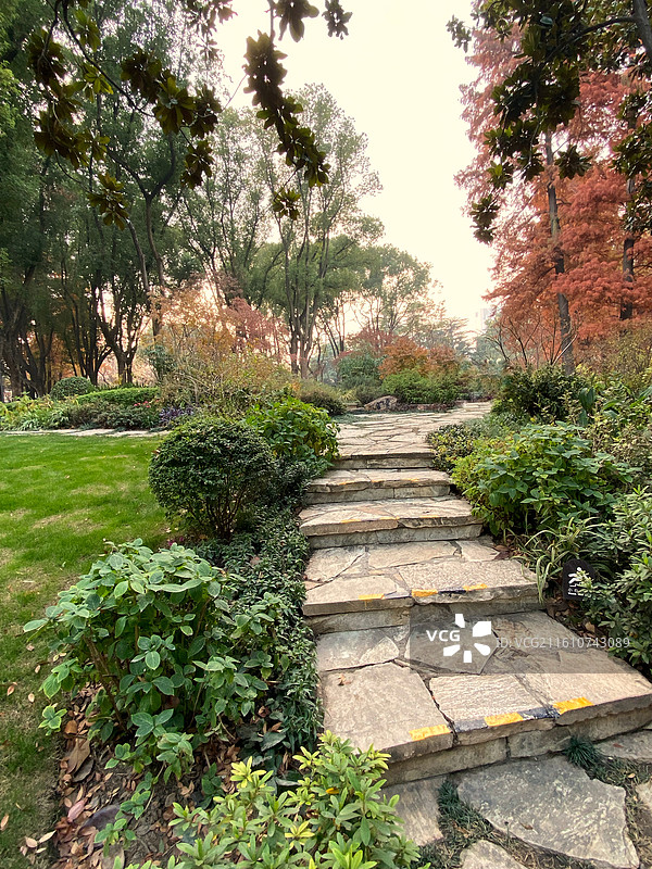 初冬的上海市内辅德里公园景色古典园林美图片素材