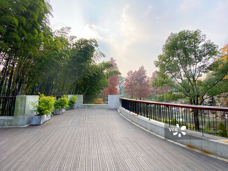 初冬的上海市内辅德里公园景色古典园林美图片素材