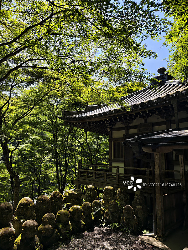 京都岚山爱宕念佛寺 古建旁表情安然的石佛群像图片素材