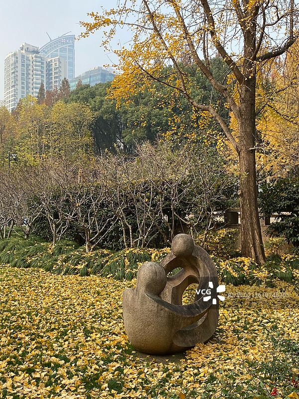 上海市内网红绿地初冬景色图片素材