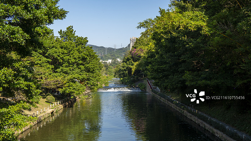 深圳中心公园绿树环绕的清澈河流图片素材