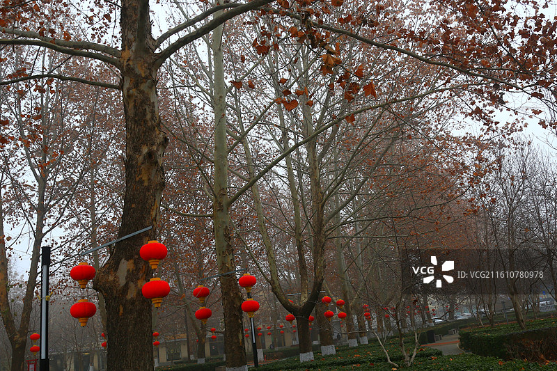 烟笼新城纱万叠，鹊声穿雾晓风斜 一泓碧水摇云影，楼台亭阁景致别 盛世宏图开画卷，千年大计硕果结图片素材