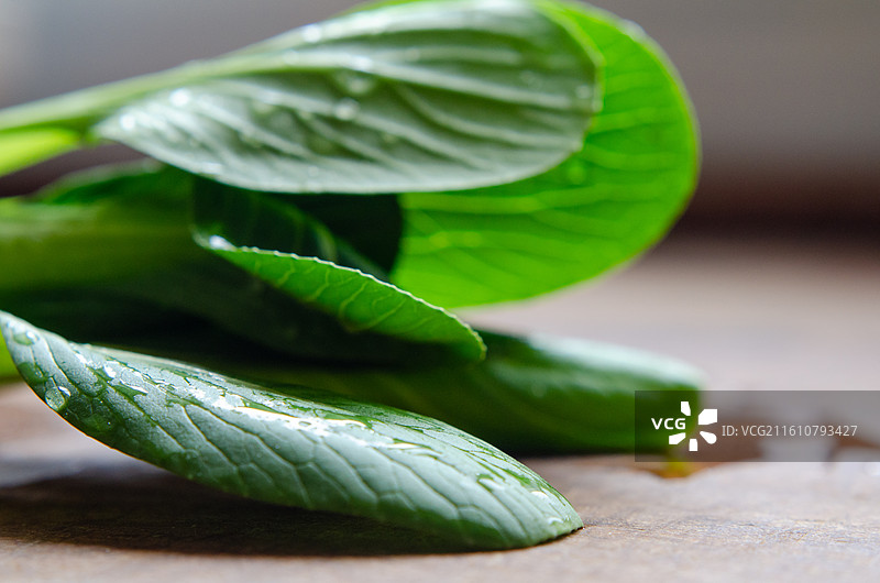新鲜带水珠青菜特写图片素材