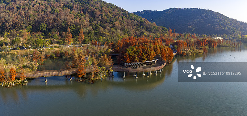 杭州铜鉴湖秋日水杉湖景图片素材
