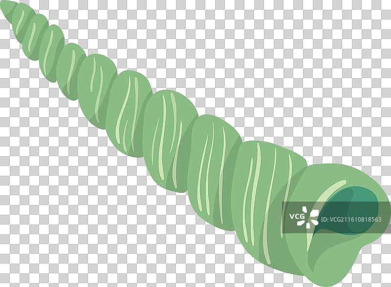 绿色海螺图标 彩色贝壳 海滩符号图片素材