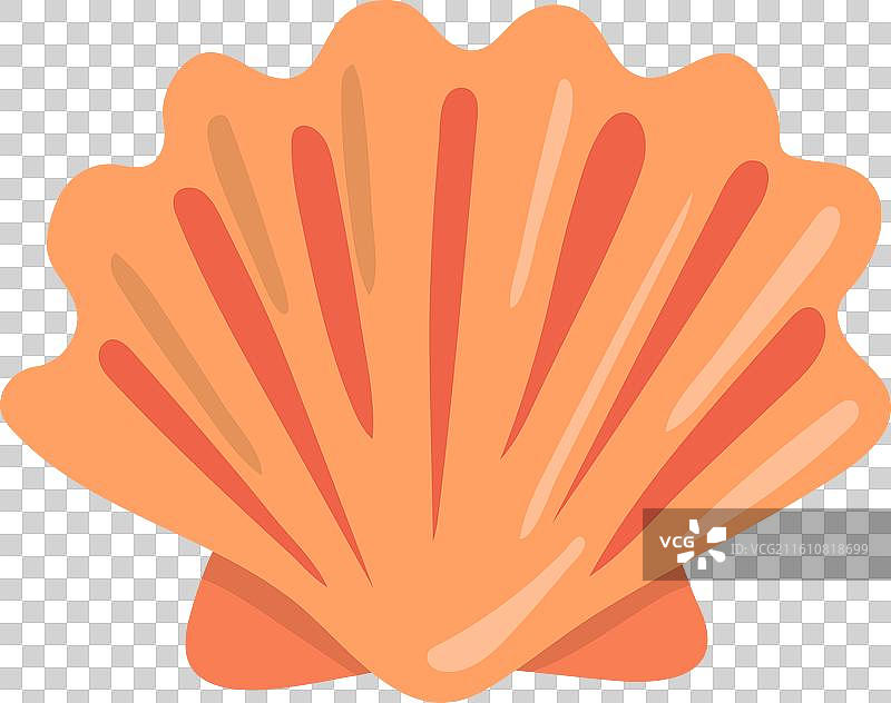 异国情调的海滩贝壳卡通海洋贝壳图标图片素材