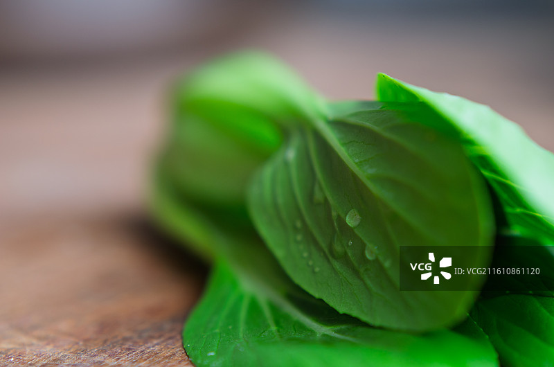 带水珠新鲜青菜叶特写图片素材
