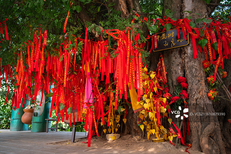 临沧双江县景亢傣族民族民俗风情村的许愿树图片素材