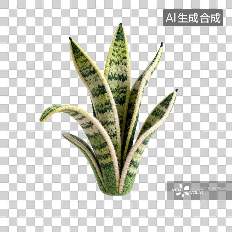【AI数字艺术】条纹叶人造虎尾兰图片素材