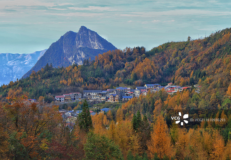 恩施州建始县茅田彩色小镇红松图片素材
