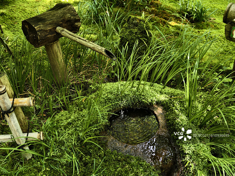京都岚山祇王寺 流水潺潺的苔藓水钵图片素材