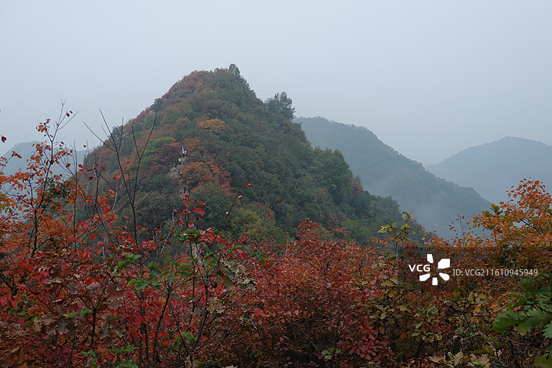 陕西省西安市周至县楼观台镇团标村秦岭终南山团标峪：十二天门桃花山红叶彩林秋景图片素材