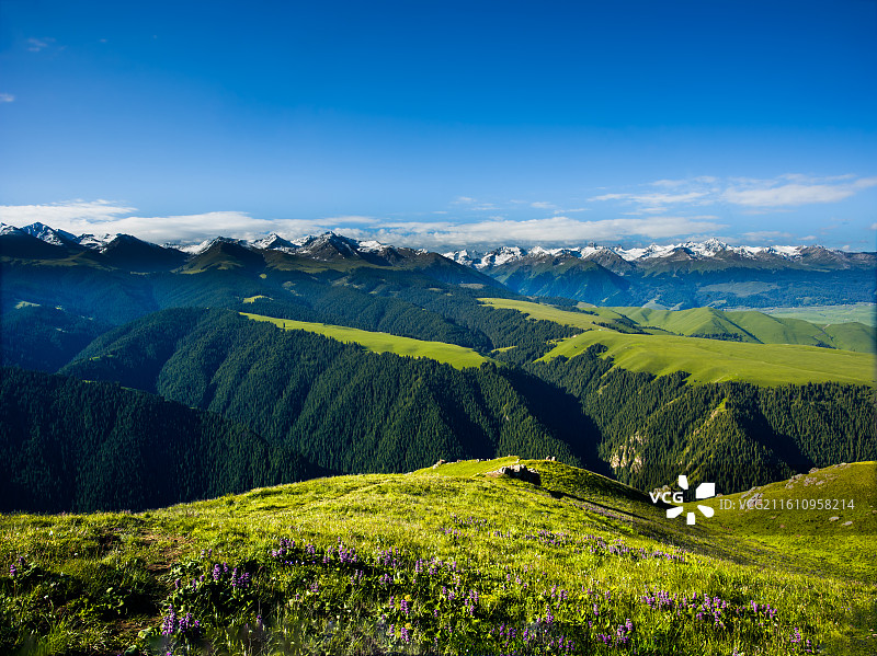 新疆维吾尔自治区伊犁哈萨克自治州特克斯县喀拉峻草原日出东方晨曦初露图片素材