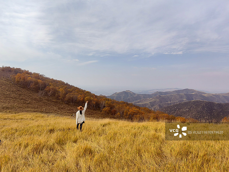 行走在秋日的画里——拍摄于呼和浩特赛罕区黄花窝铺图片素材