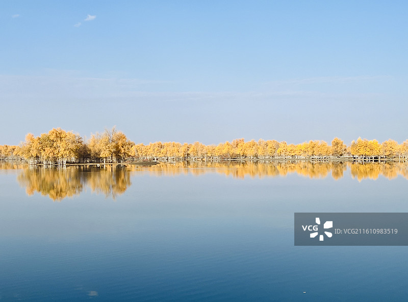 胡杨倒影图片素材