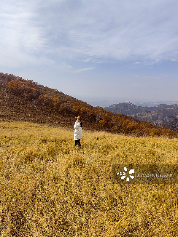 赏秋——拍摄于呼和浩特赛罕区黄花窝铺图片素材