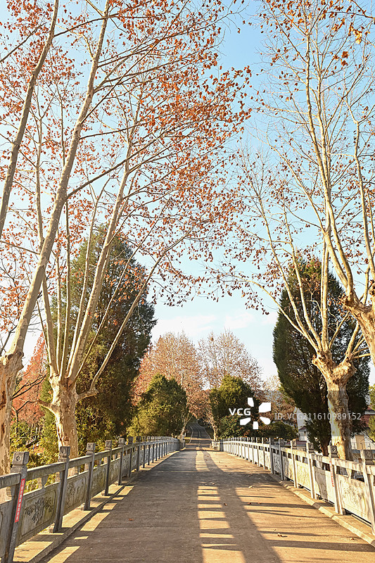 安徽省宣城市宣州区中国鳄鱼湖，是扬子鳄国家级自然保护区和国家4A级旅游景区，自然风光、生态环境优美。图片素材