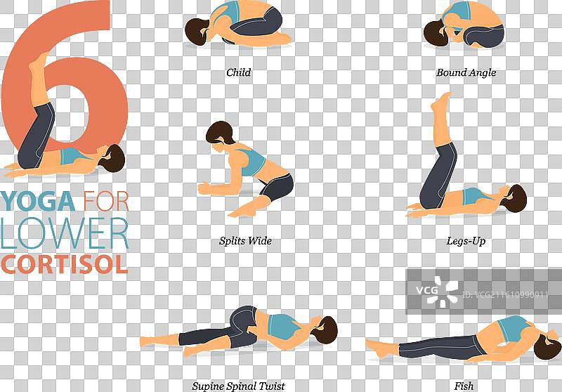 降低皮质醇的6种瑜伽锻炼姿势图片素材
