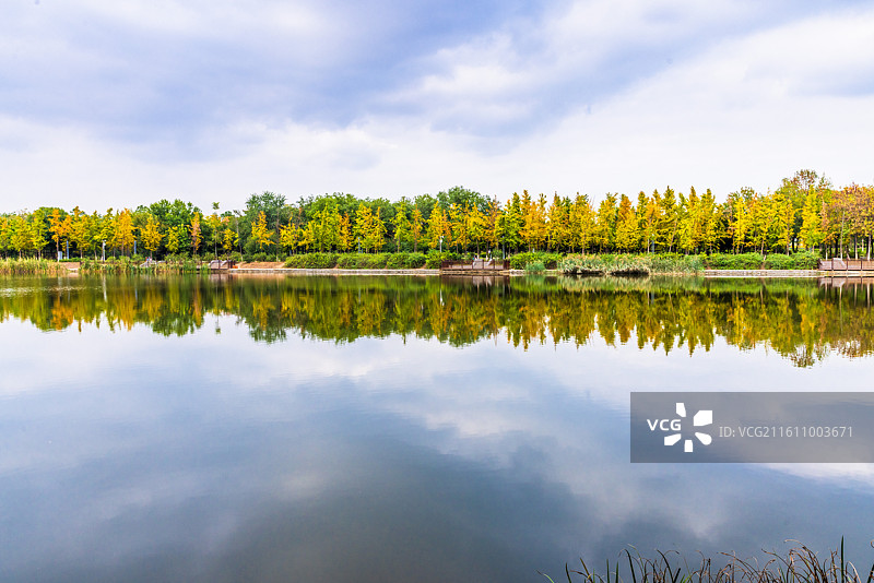 胜利公园秋色图片素材