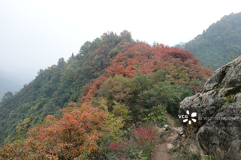 陕西省西安市周至县楼观台镇团标村秦岭终南山团标峪：十二天门桃花山红叶彩林秋景图片素材