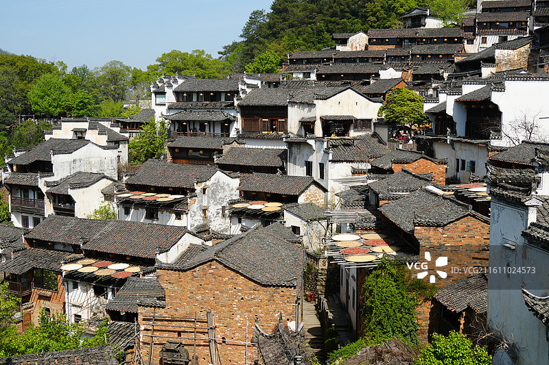 婺源油菜花图片素材