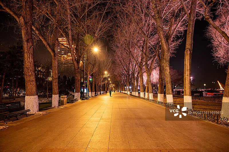 哈尔滨斯大林公园夜景图片素材
