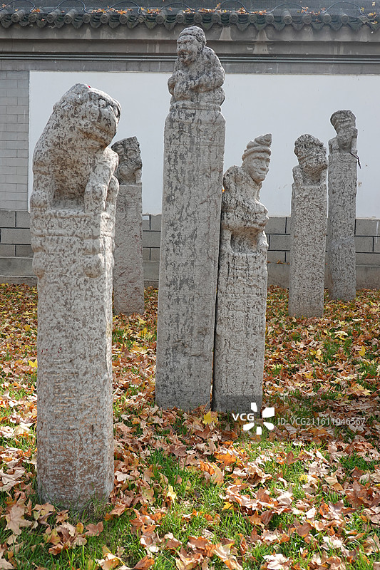 陕西省西安市西安博物院荐福寺秋景：西安小雁塔秋色拴马桩落叶图片素材