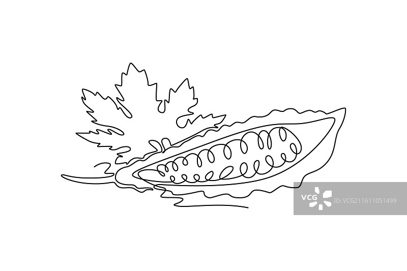 半个切片的连续单线画图片素材