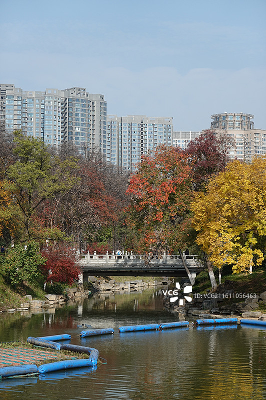 陕西省西安市兴庆宫公园兴庆湖秋景：东平桥七曲桥彩林红叶黄叶秋叶图片素材