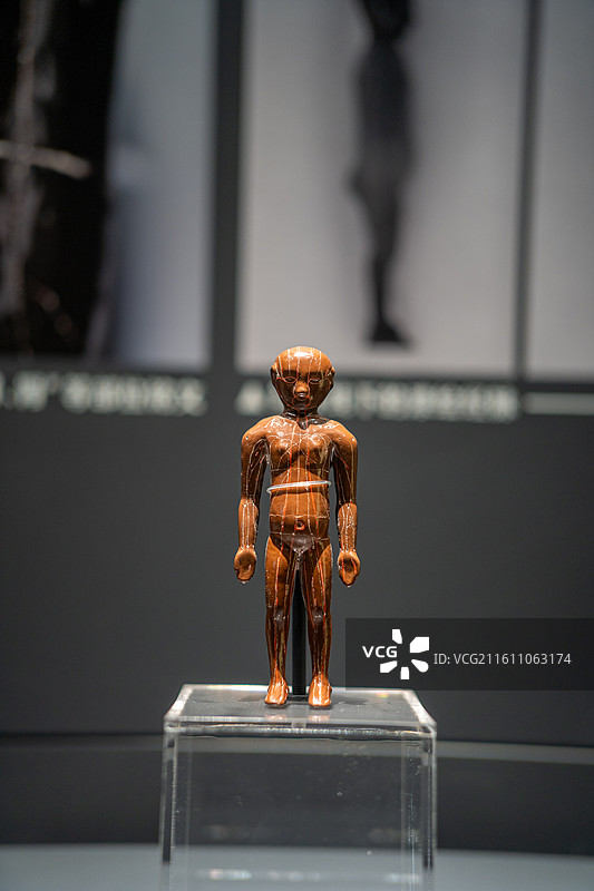 成都考古中心常设展展出的医学文物图片素材