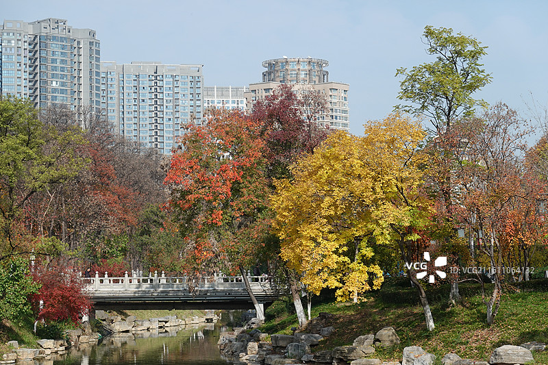 陕西省西安市兴庆宫公园兴庆湖秋景：东平桥七曲桥彩林红叶黄叶秋叶图片素材