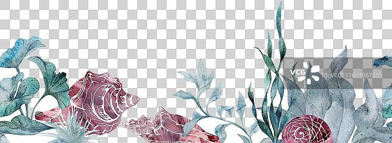 水彩和墨水手绘海洋生物图片素材