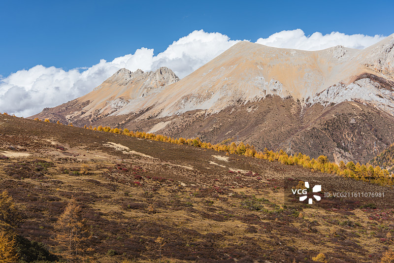 高海拔裸露山脊的冷色律动与云境图片素材
